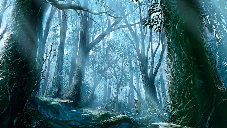 forest wallpaper, anime, fantasy art, Mushishi, Ginko (Mushishi), HD wallpaper