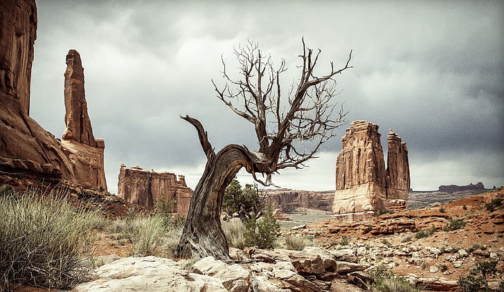 USA, Utah, landscape, rock, nature, desert, overcast, sky, cloud - sky, HD wallpaper