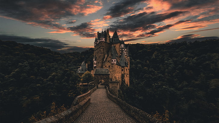 brown and black concrete castle, architecture, Germany, forest