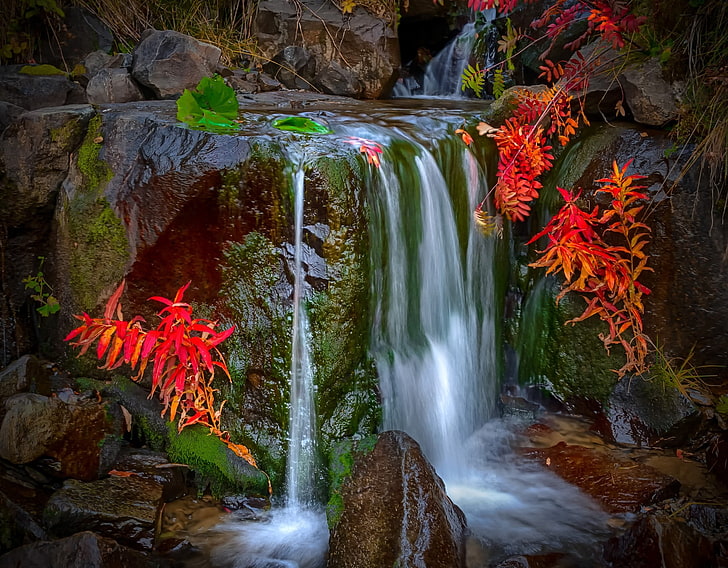 clear waterfalls, nature, colorful, leaves, moss, red, landscape