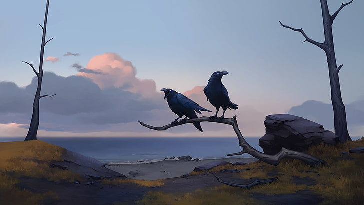 huginn and muninn, crows, artwork, ocean, clouds, sky, Fantasy, HD wallpaper