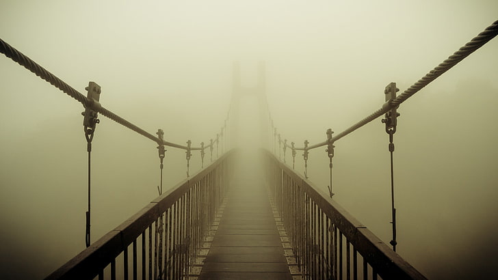 brown wooden hanging bridge, mist, fog, connection, bridge - man made structure