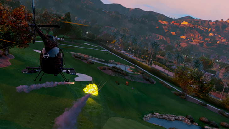 black helicopter, Grand Theft Auto V, Redux, video games, plant, HD wallpaper