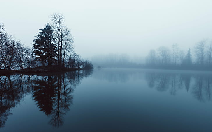 body of water surrounded by trees covered with fog, Blue Monk