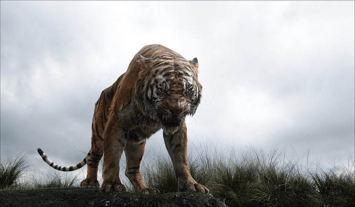 The Jungle Book, The Jungle Book (2016), Shere Khan, HD wallpaper