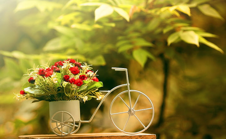 HD wallpaper: white bicycle flower vase, flowers, capacitance, bike,  sharpness | Wallpaper Flare