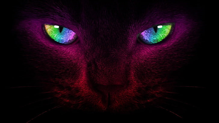 cat, eyes, colorful, digital art, cat eyes, dark, whiskers, HD wallpaper