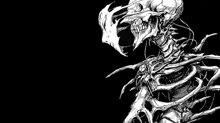 HD wallpaper white skeleton with text overlay wallpaper death knowledge   Wallpaper Flare