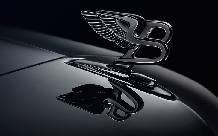 Bentley logo 1080P, 2K, 4K, 5K HD wallpapers free download | Wallpaper Flare