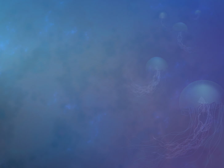 Jellyfishes, Underwater, Fedora OS, Stock, HD, 4K, HD wallpaper