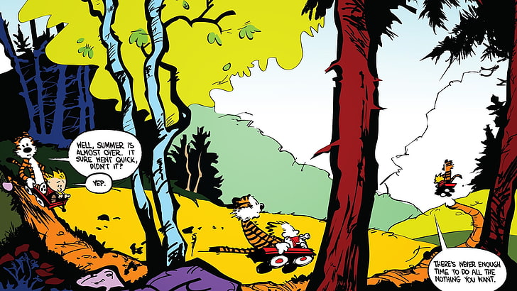 comic strip, comics, Calvin and Hobbes, philosophy, colorful