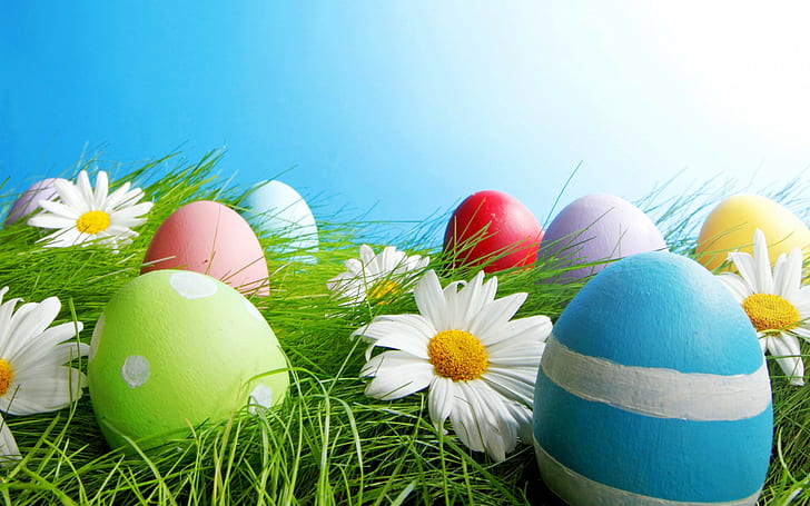 Easter spring eggs, sky, light, grass, flowers, HD wallpaper