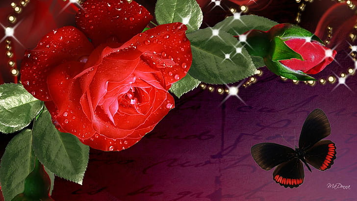 Lovely Red Rose, stars, fleur, papillon, flower, beads, bright, HD wallpaper