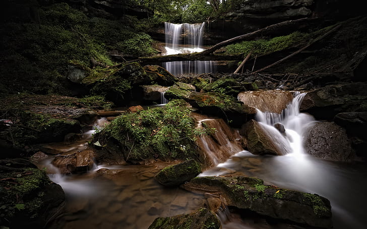 Waterfall Stream Forest Moss Rocks Stones HD, nature, HD wallpaper