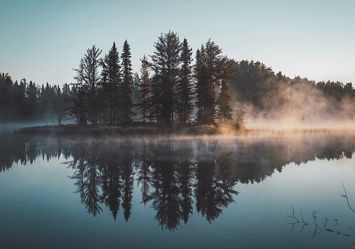 body of water, forest, lake, reflection, nature, trees, mist