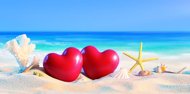Artistic, Summer, Beach, Heart, Sand, Sea, Shell, Starfish, HD wallpaper