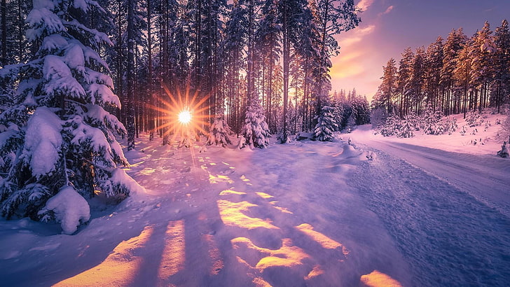 winter, snow, nature, sky, tree, freezing, wilderness, light, HD wallpaper