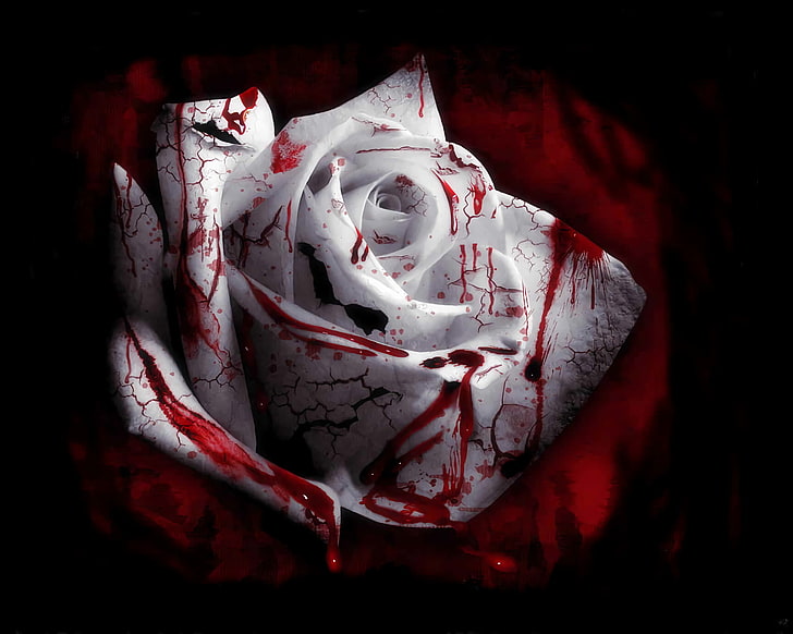 rose, blood spatter, white flowers, plants, red, indoors, close-up