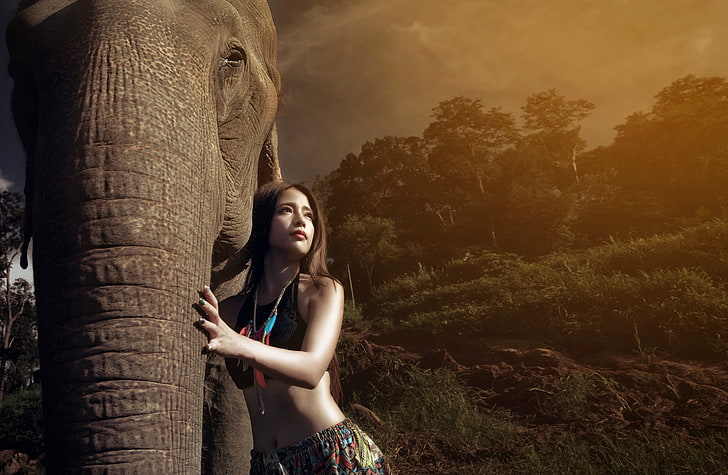 woman wearing black crop top holding elephants trunk, Asian, women, HD wallpaper