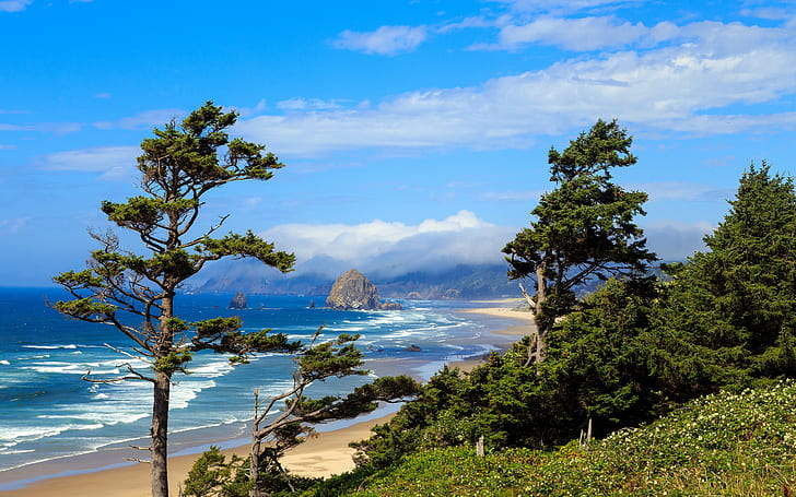 USA Oregon sea, rocks, beach, sand, sky, clouds, trees, coast