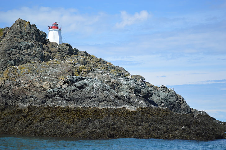 white and red lighthouse tower, water, coast, Canada, sky, rock, HD wallpaper