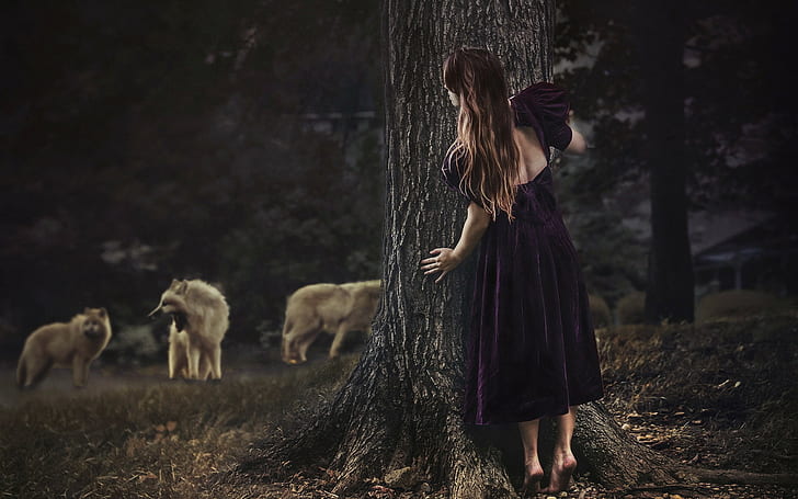 Woman, Hiding, Tree, Forest, Wolves, Dark, Nature