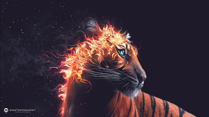tiger artwork, fire, motion, one person, headshot, heat - temperature