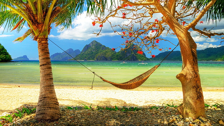 brown hammock, coast, leaves, beach, relax, privacy, sea, nature, HD wallpaper