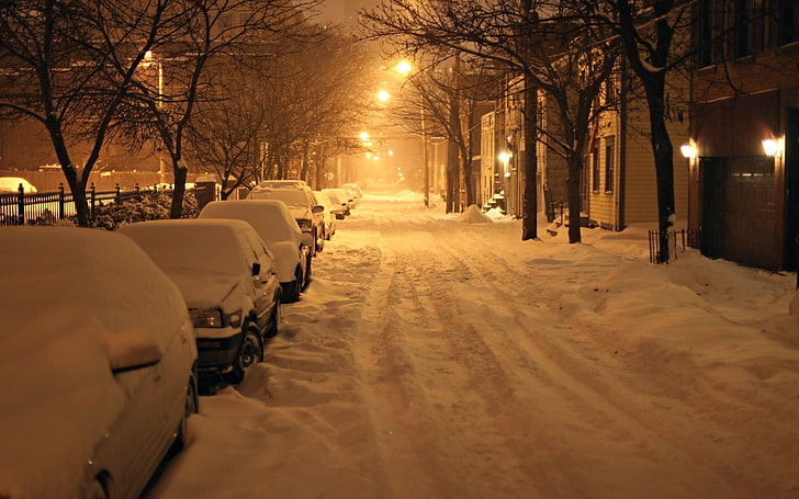bare trees, car, snow, photography, night, winter, street, city