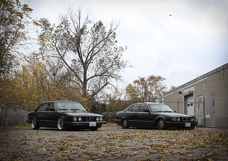 two black BMW sedans, autumn, leaves, tuning, drives, classic, HD wallpaper