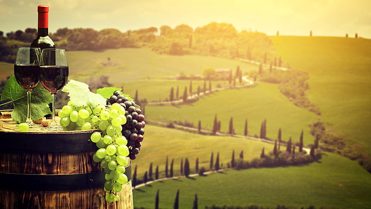field, 5k, europe, wineglass, tuscany, italy, tree, siena, chianciano terme, HD wallpaper