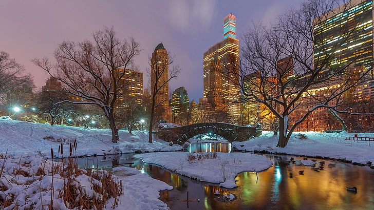 reflection, winter, snow, central park, tree, freezing, sky, HD wallpaper