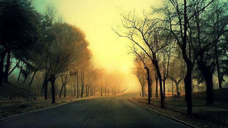 Sunrise Road Instagram-Like HD, roads, trees, HD wallpaper