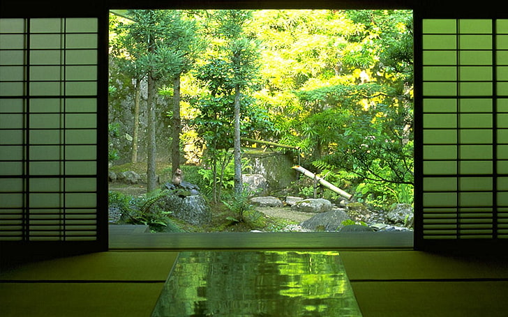 two white Shoji screens, zen, nature, forest, plant, window, tree
