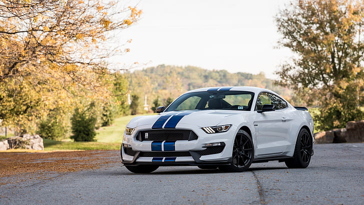Hd Wallpaper Ford Mustang Shelby Car Nature Shelby Gt350 Depth Of Field Wallpaper Flare