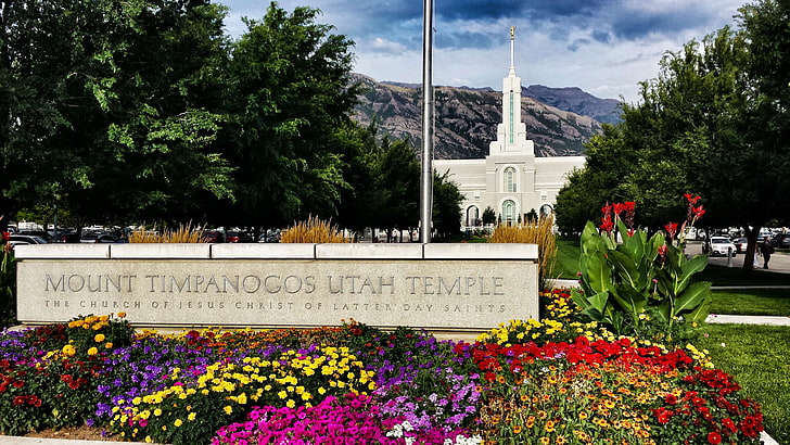 lds, mormon, temple, utah, plant, flower, flowering plant, architecture
