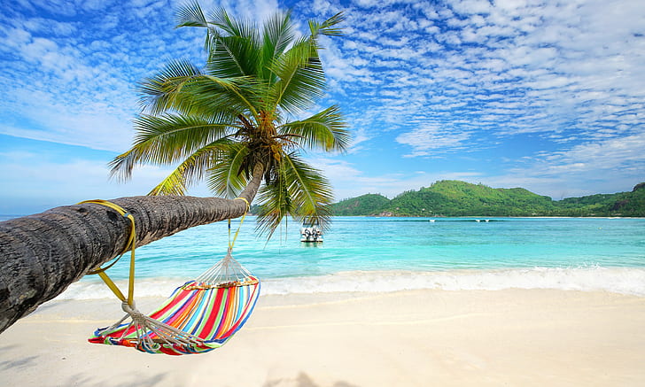 Photography, Beach, Hammock, Palm Tree, Sand, Sea, Summer, Tropical, HD wallpaper