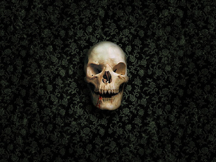 human skull, death, vampires, spooky, Gothic, human body part, HD wallpaper