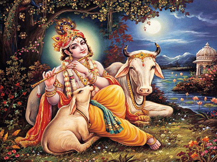 HD wallpaper: Lord Krishna And Cow, Krishna illustration, God, playing,  flute | Wallpaper Flare