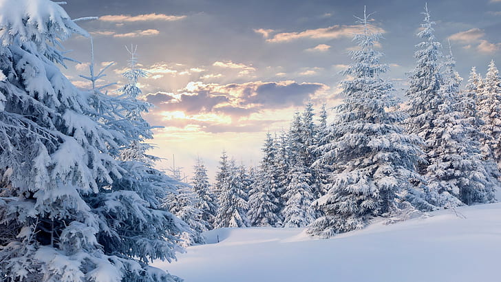 winter hd backgrounds 1920x1080