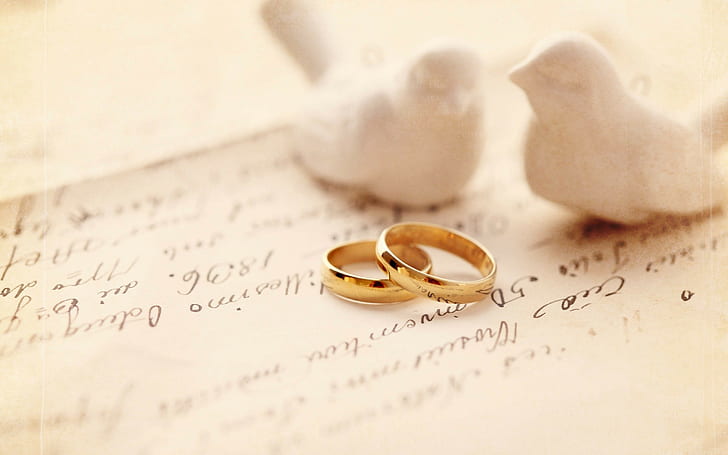 pair, Engagement rings, wedding, lovebirds, HD wallpaper