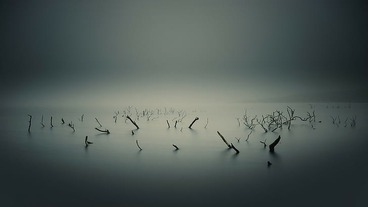 sea, minimalism, horizon, branch, sticks, long exposure, landscape, HD wallpaper