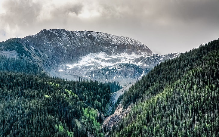 black and white fur textile, nature, landscape, Colorado, mountains, HD wallpaper