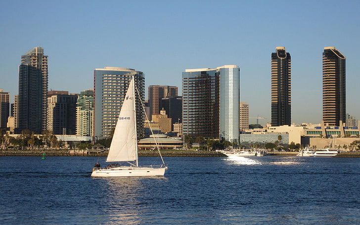 white sailboat and buildings, san - diego, skyscrapers, beach