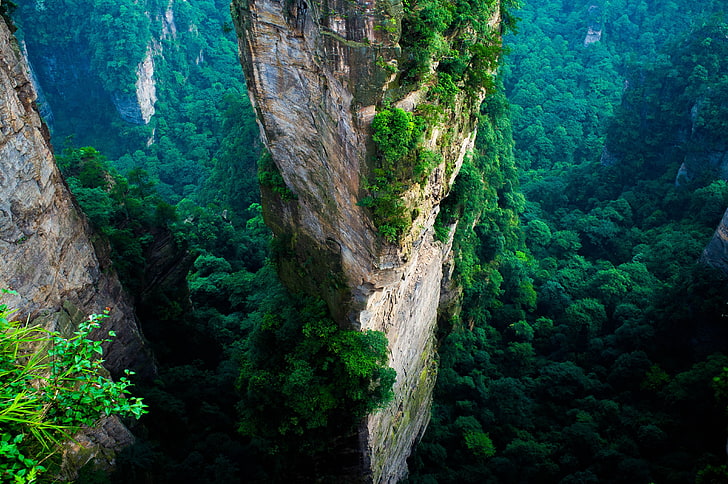 mountain peak landscape, forest, China, cliff, mountains, green, HD wallpaper
