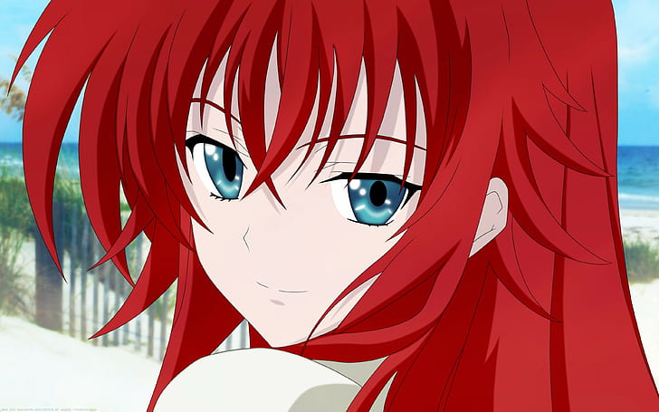 gremory rias, girl backgrounds, hair, eyes