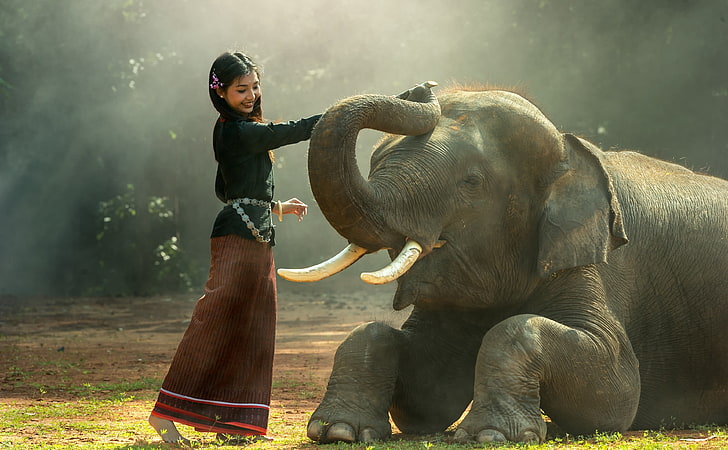 Elephant Training, Asia, Thailand, Travel, Girl, Wild, Tropical, HD wallpaper