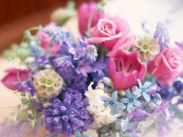 Flowers Decoration, pink-purple-white-and blue petaled flower, HD wallpaper