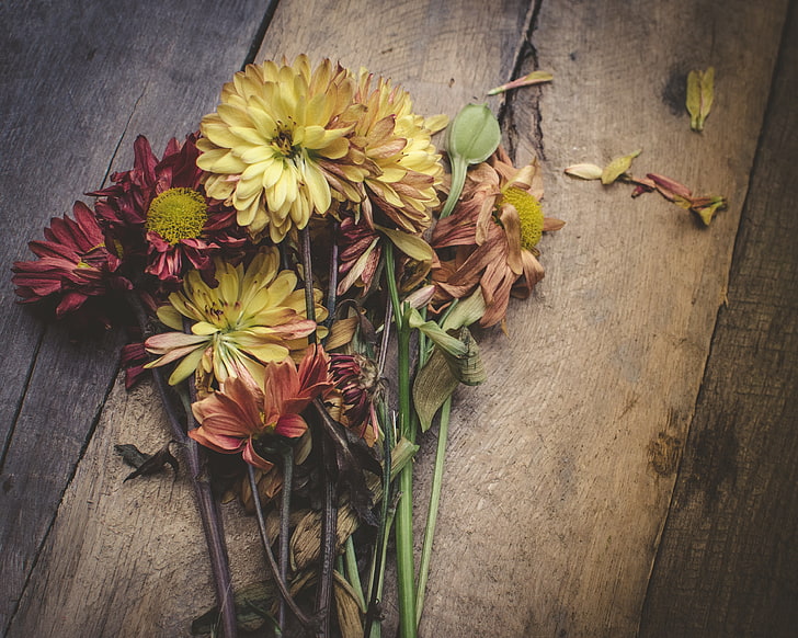 yellow and red flowers, herbarium, bouquet, wood - Material, nature, HD wallpaper