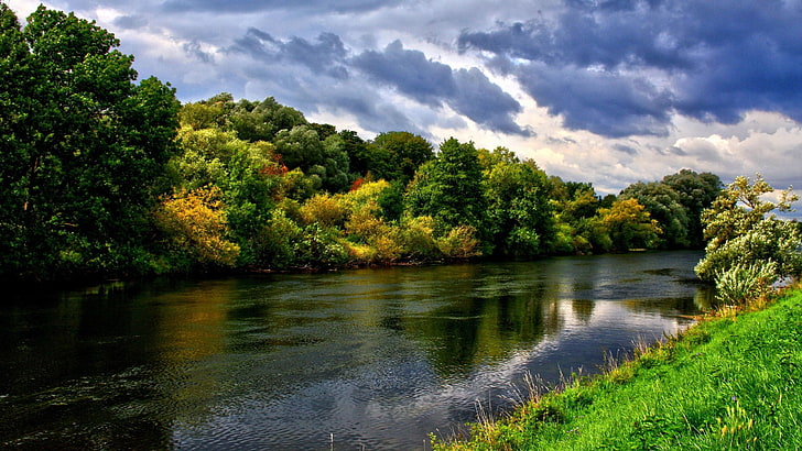 body of water and green leafed trees, river, forest, nature, landscape